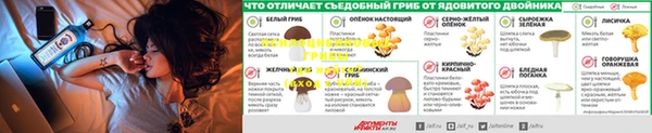 наркотики Белокуриха